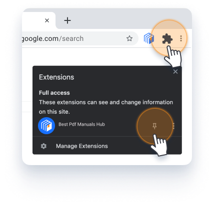 Pin the extension